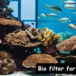 Bio filter for aquarium