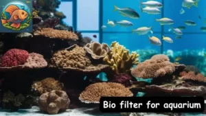 Bio filter for aquarium