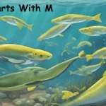 Fish Starts With M