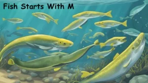 Fish Starts With M