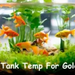 Fish Tank Temp For Goldfish