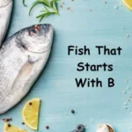 Fish That Starts With B