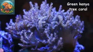 Green kenya tree coral