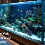 How many fish should be in a 20 gallon tank?